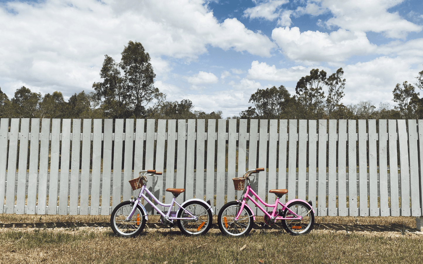 Reid girls classic 16 bike lavender perfect for everyone