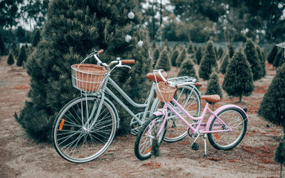 Reid girls classic 20 bike mint green perfect for everyone