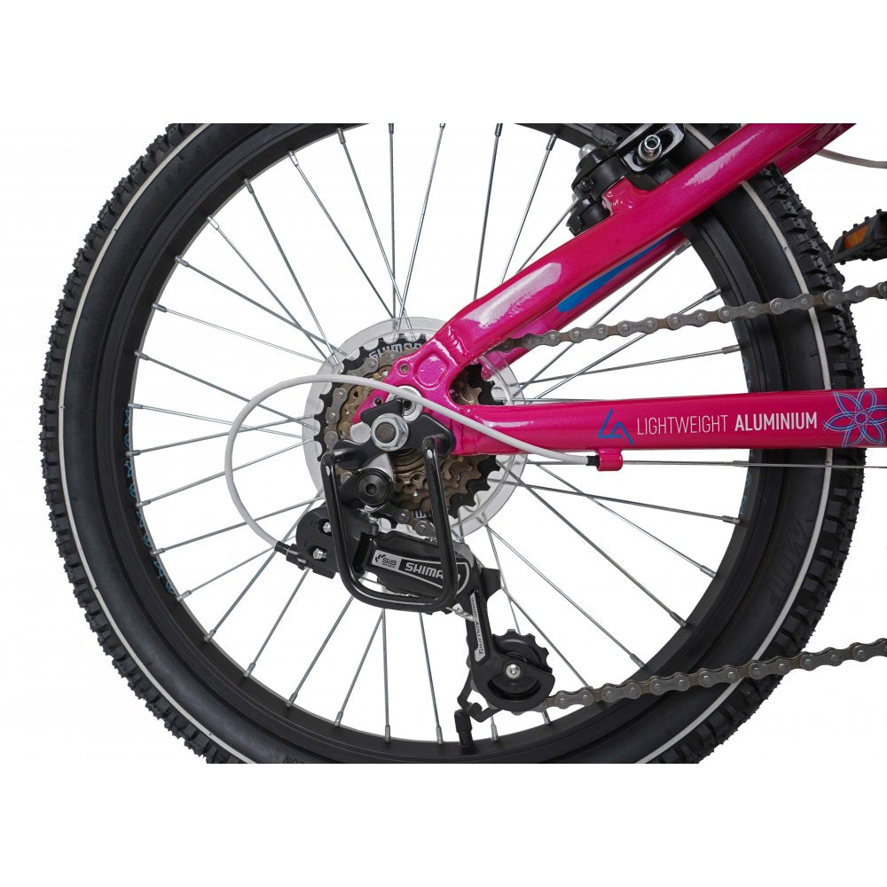 Dawes 20 paris ht kids mountain bike pink perfect for everyone